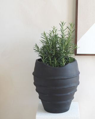 Zahradní sezóna je konečně tady, konečně se můžeme hrabat v hlíně a zkrášlovat terasy, vchody. Tady máte jeden tip na...